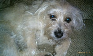 Rambo 2010 Rambo 2010